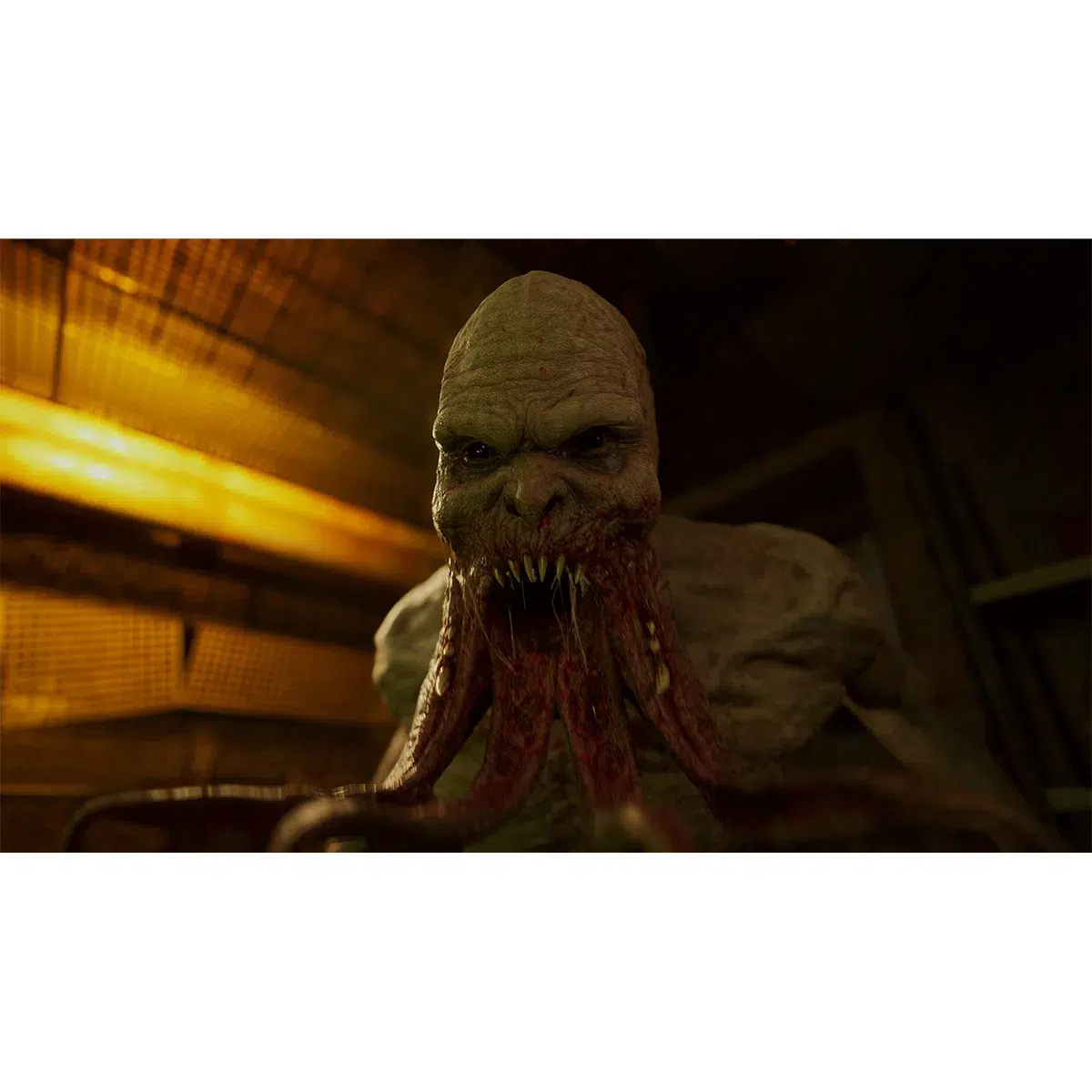 1071997-stalker-2-heart-of-chernobyl-imited-edition-screenshot-5