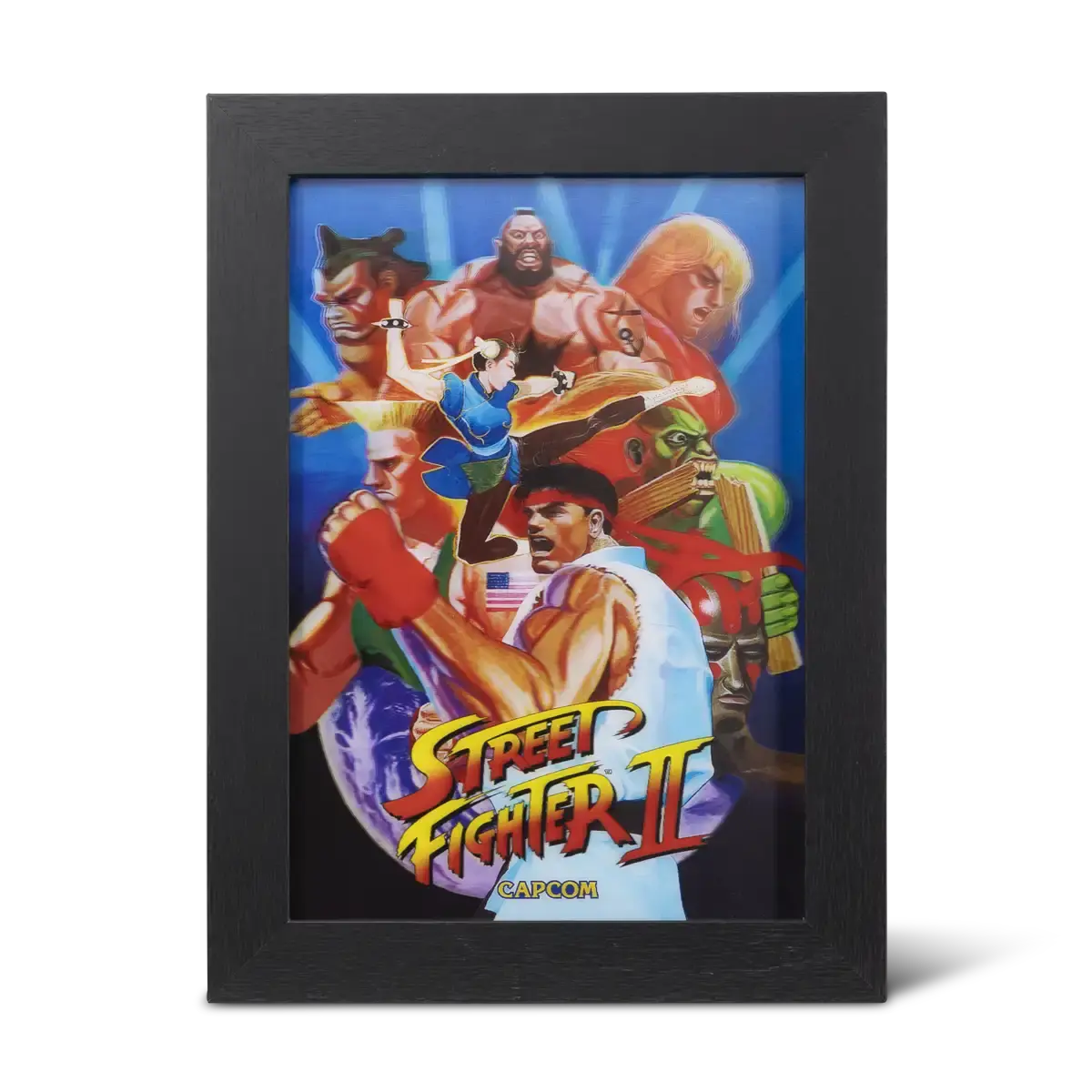 Pixel Frames Plax SF2 World Warrior