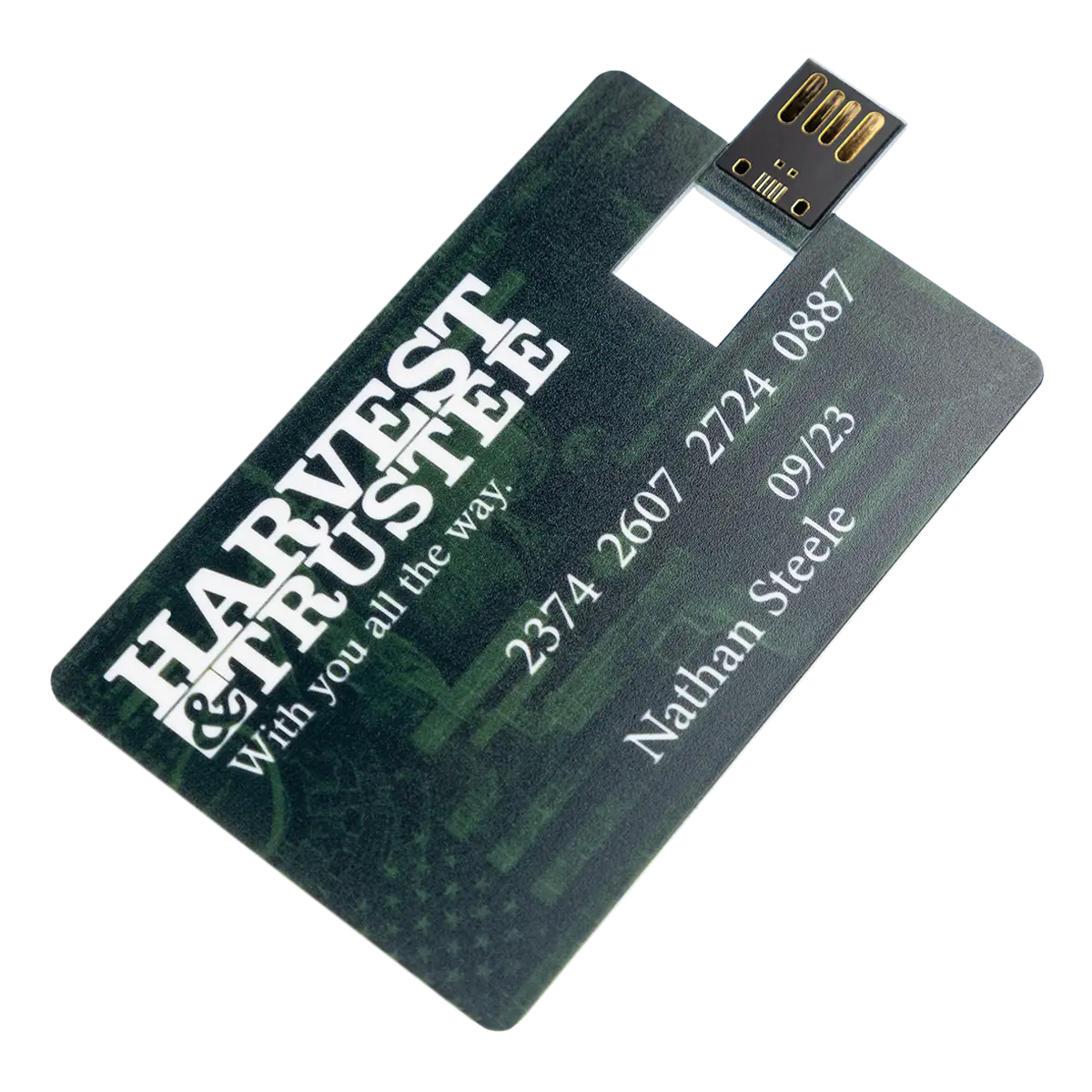 Payday USB Card Harvest & Trustee 8GB Image 4
