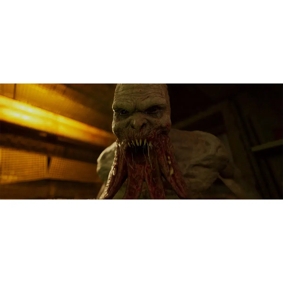 1072013-stalker-2-heart-of-chernobyl-screenshot-4mYD4NzUv6KEUm