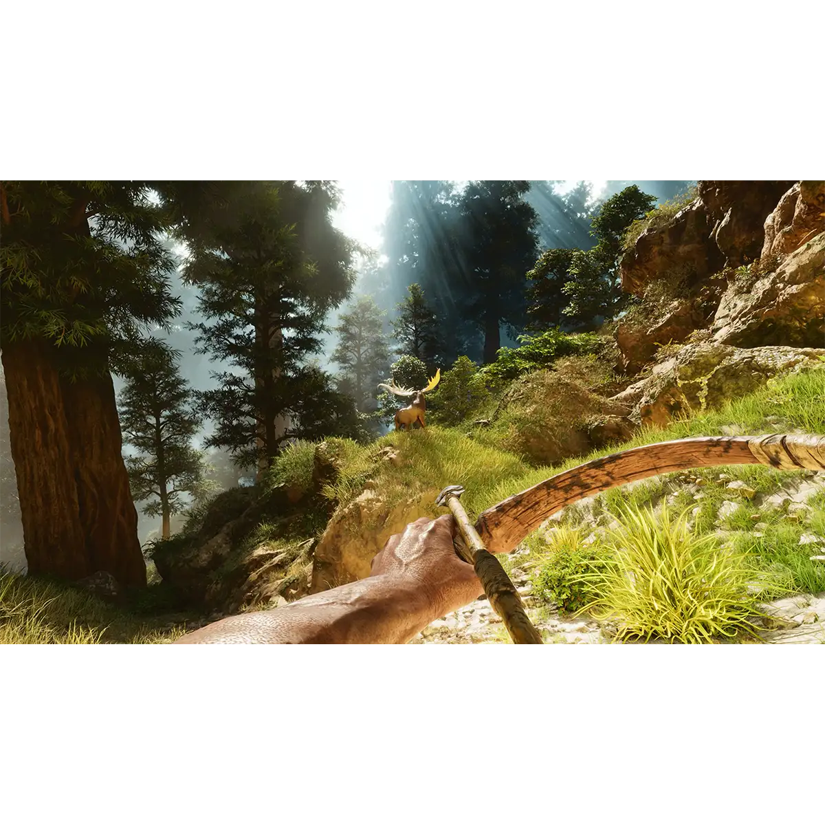 ARK: Survival Ascended (PS5) ARK: Survival Ascended (PS5)
