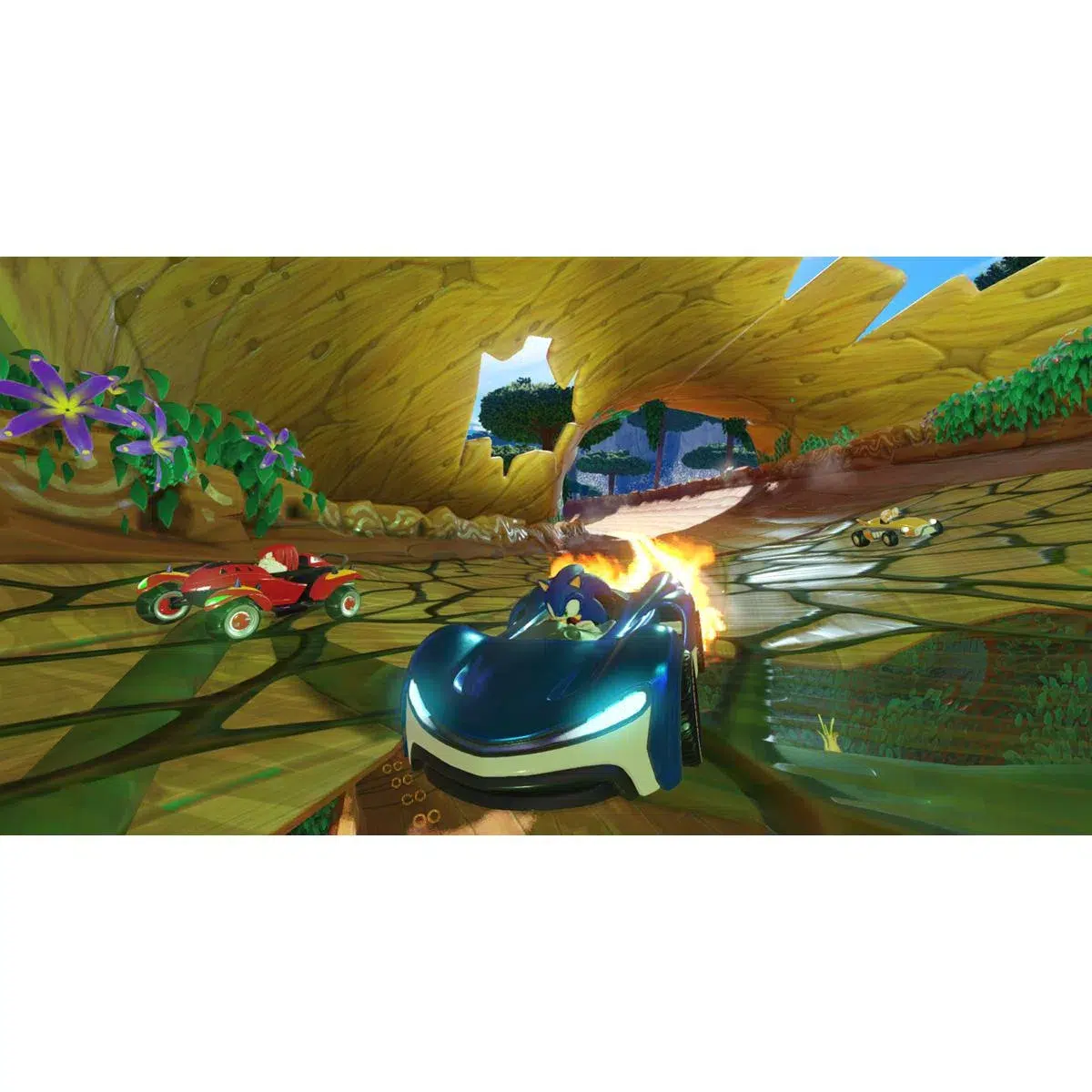 Team Sonic Racing (Switch)  Image 2