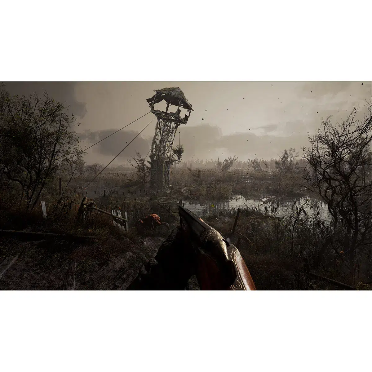 1071997-stalker-2-heart-of-chernobyl-imited-edition-screenshot-11