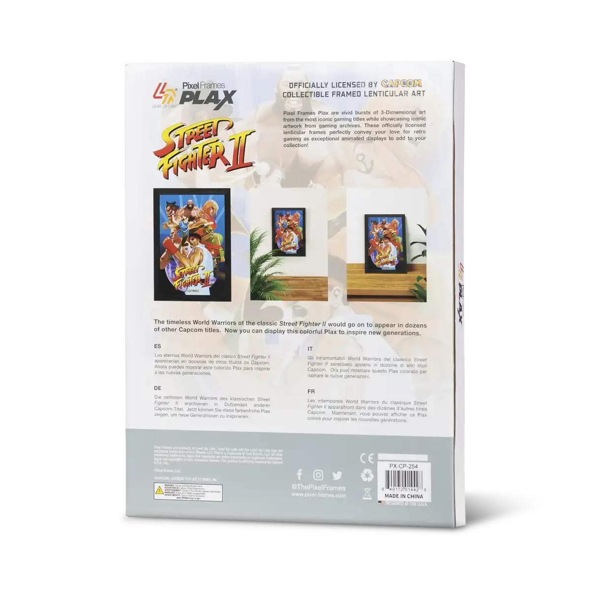 Pixel Frames Plax SF2 World Warrior