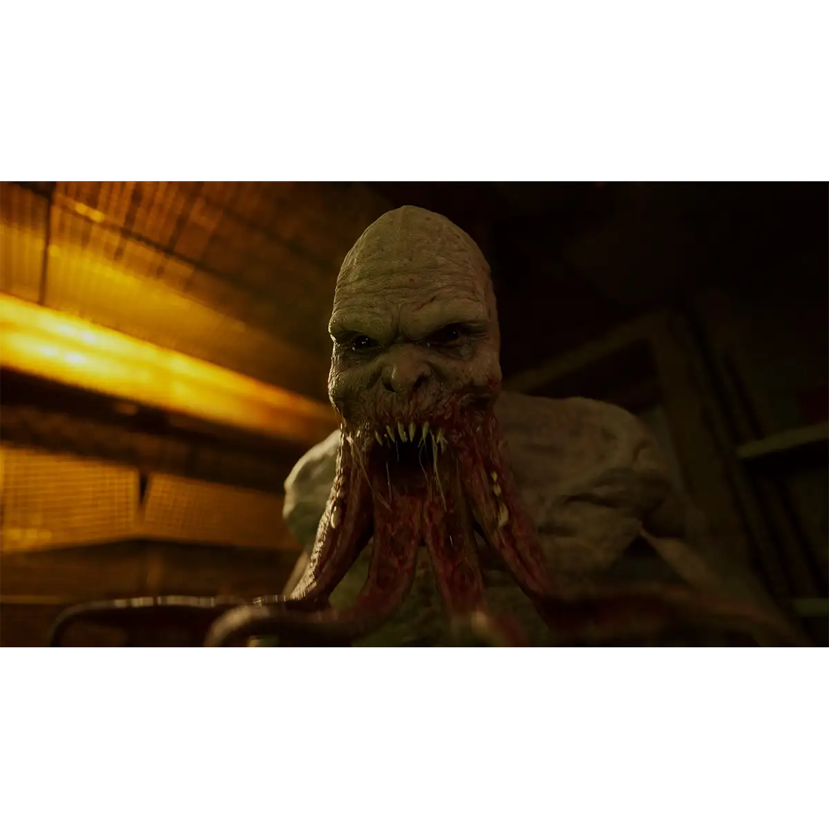 S.T.A.L.K.E.R. 2: Heart of Chornobyl Limited Edition (XSRX) S.T.A.L.K.E.R. 2: Heart of Chornobyl Limited Edition (XSRX)