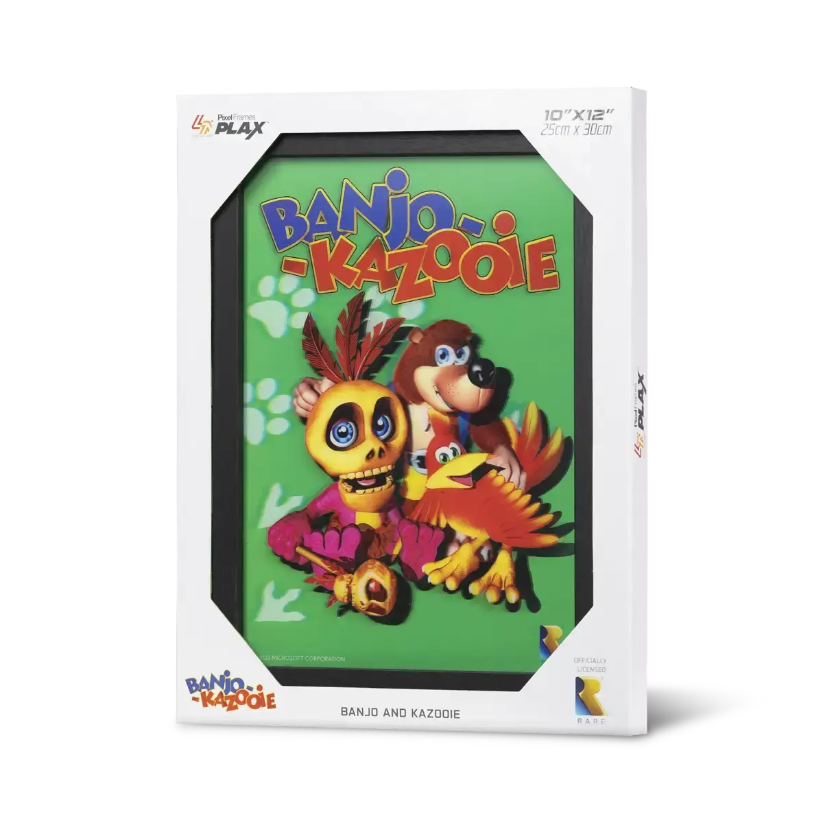 Pixel Frames Plax Banjo-Kazooie