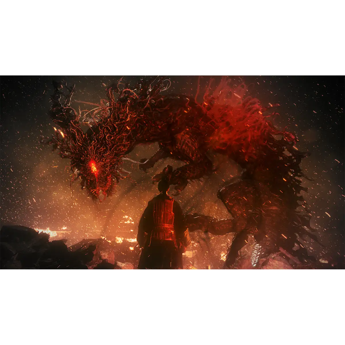 Wo Long: Fallen Dynasty (PS5) Wo Long: Fallen Dynasty (PS5)