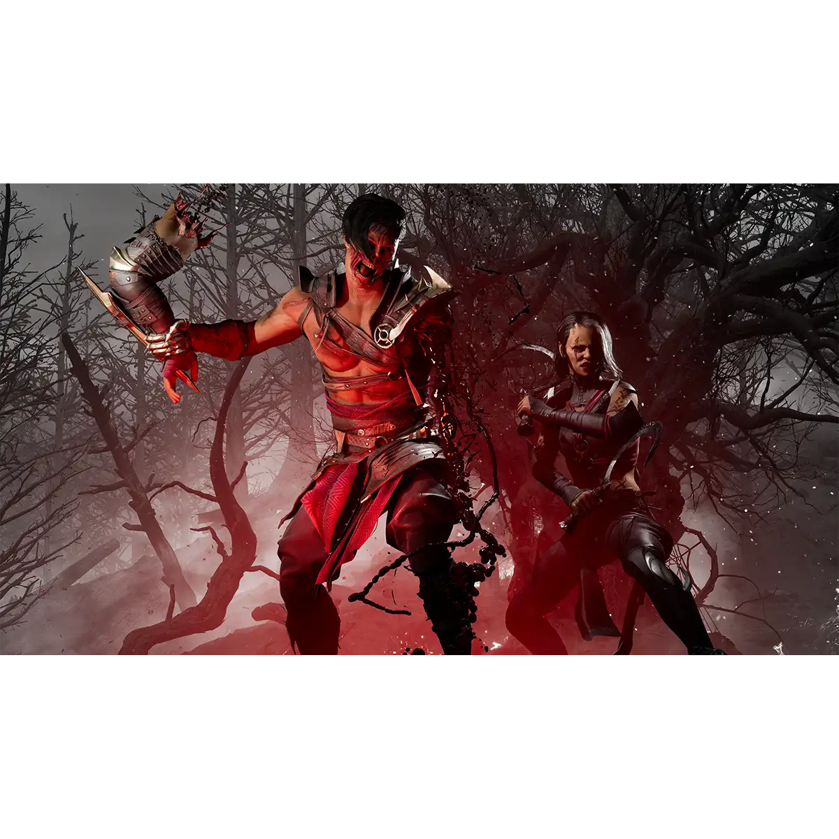 Mortal Kombat 1 (Switch) Image 10