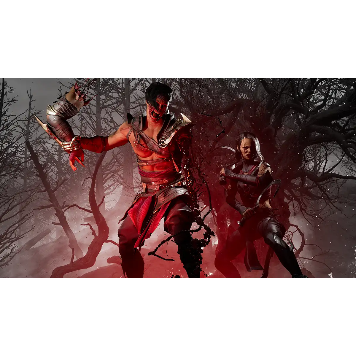 Mortal Kombat 1 (Switch) Mortal Kombat 1 (Switch)