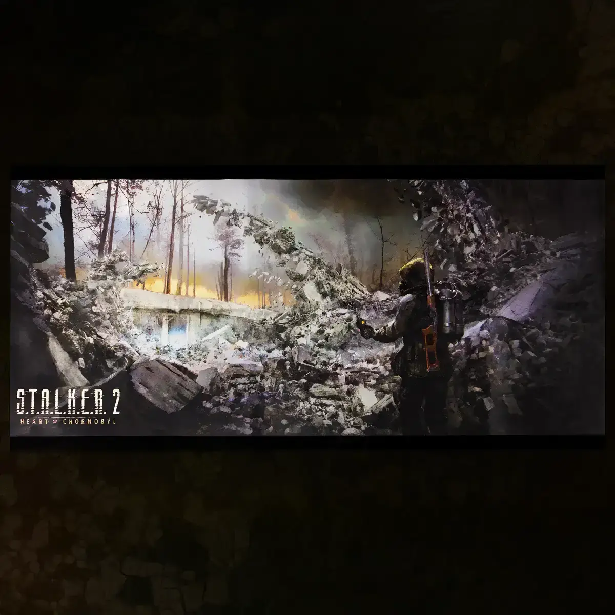 S.T.A.L.K.E.R. 2: Heart of Chornobyl Ultimate Edition (no Game)