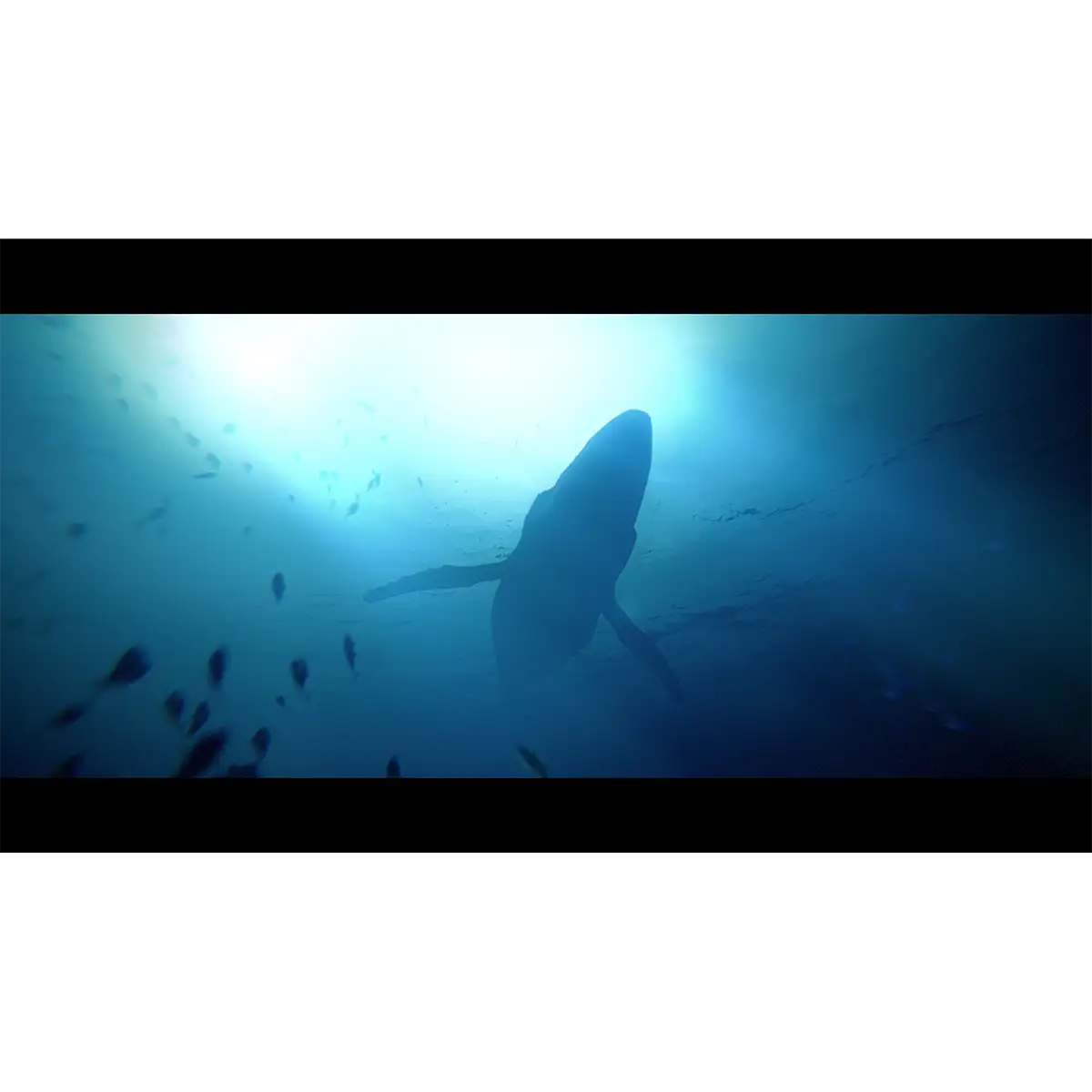 Under The Waves Deluxe Edition (PS5) Under The Waves Deluxe Edition (PS5)