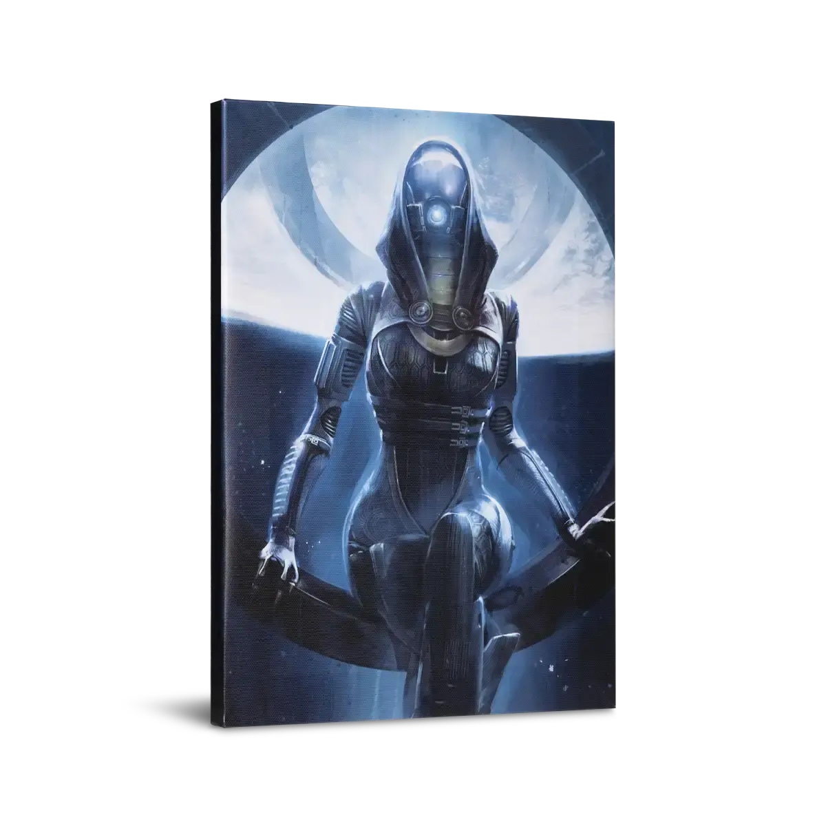 Mass Effect Tali Small Canvas Print Copy