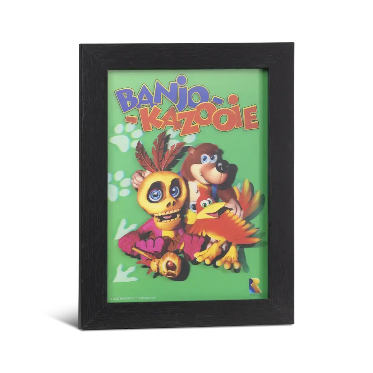 Pixel Frames Plax Banjo-Kazooie