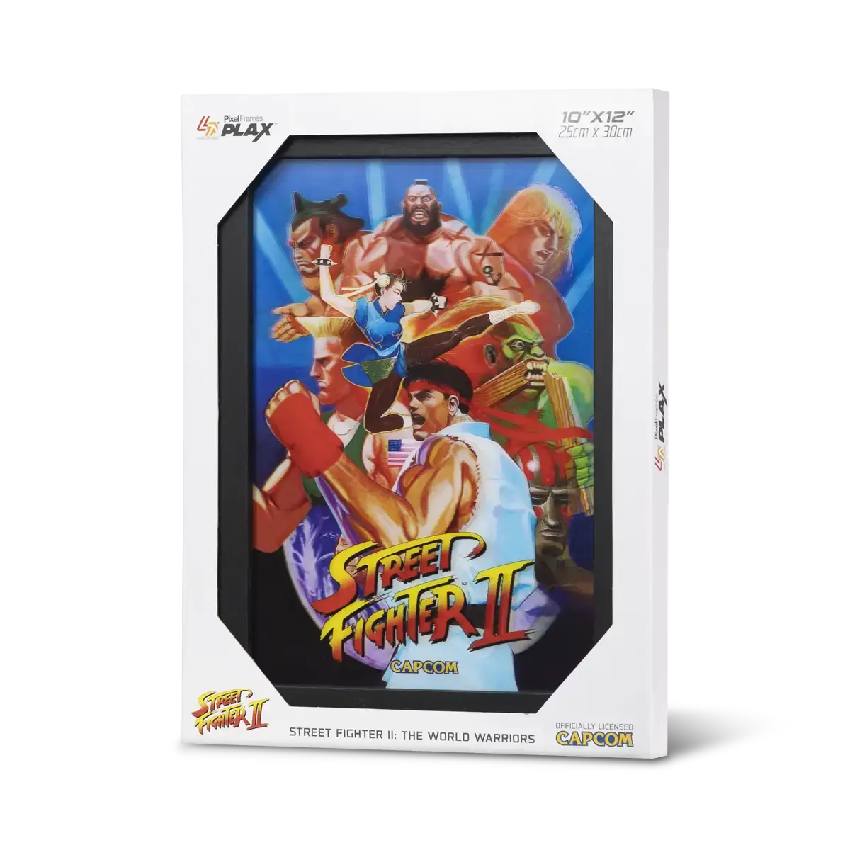Pixel Frames Plax SF2 World Warrior