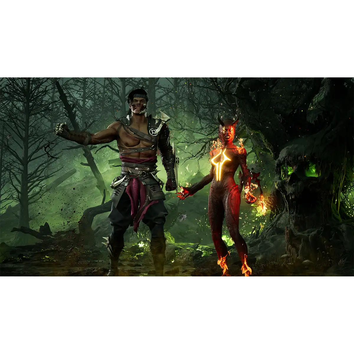 Mortal Kombat 1 (Switch) Image 11