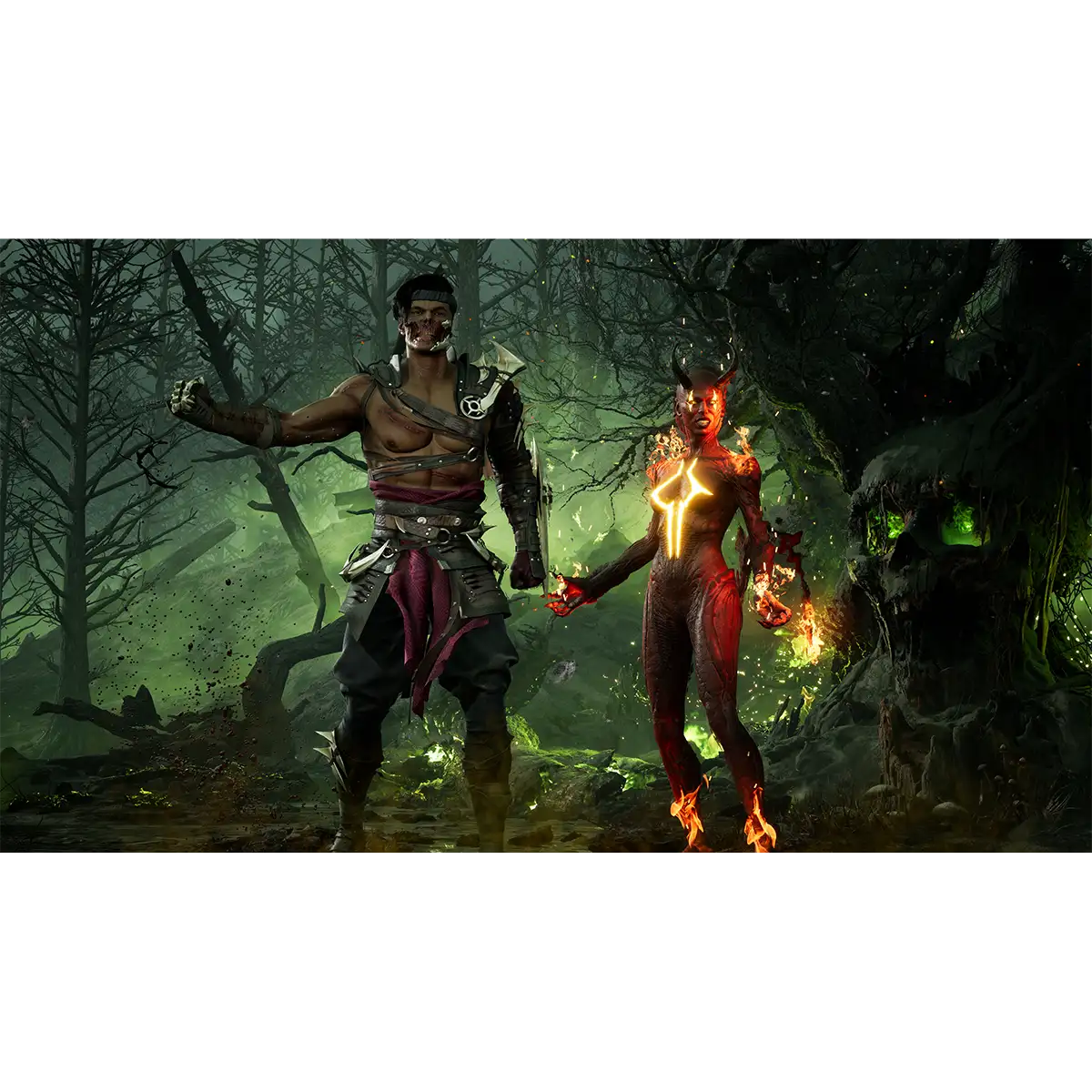 Mortal Kombat 1 (Switch) Mortal Kombat 1 (Switch)