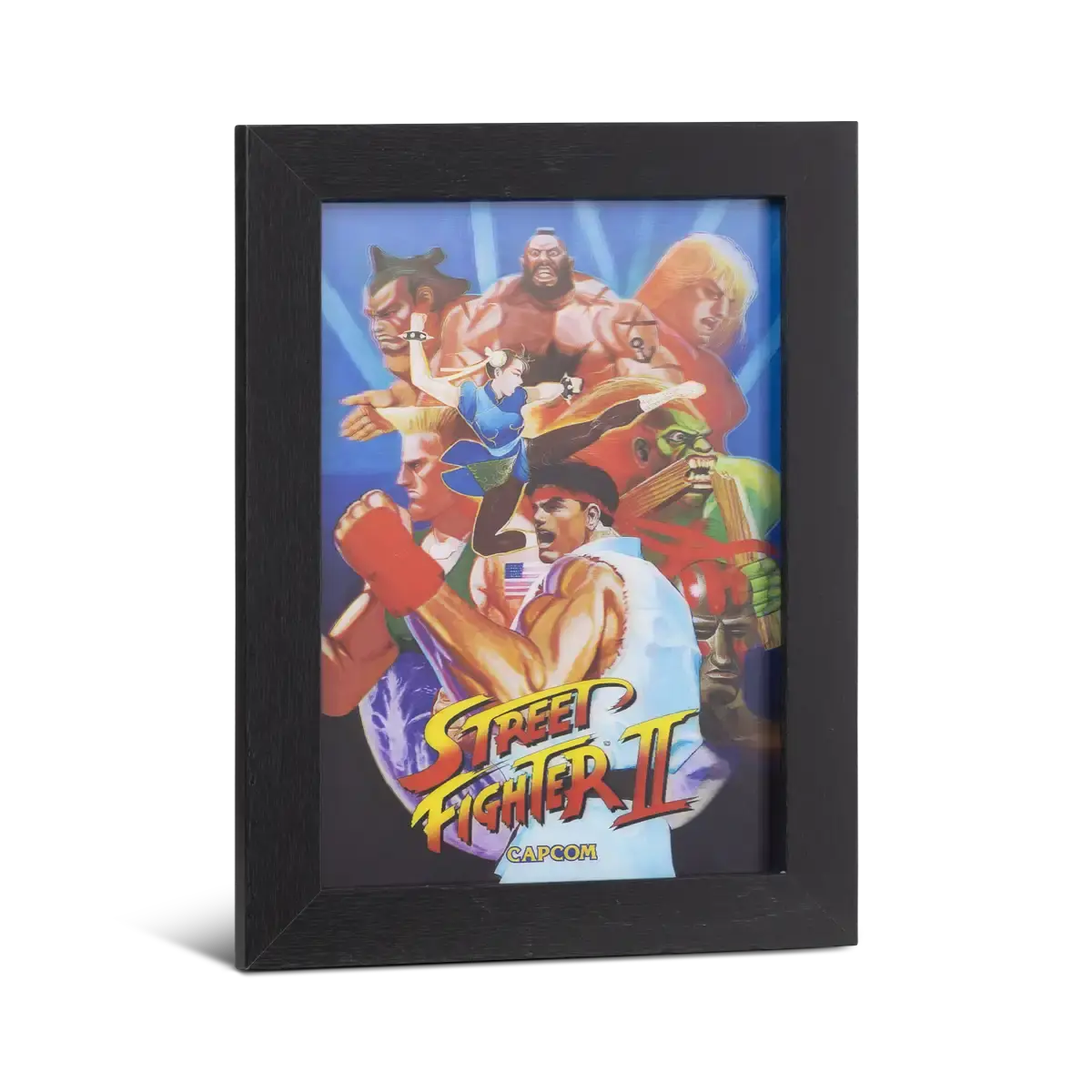 Pixel Frames Plax SF2 World Warrior