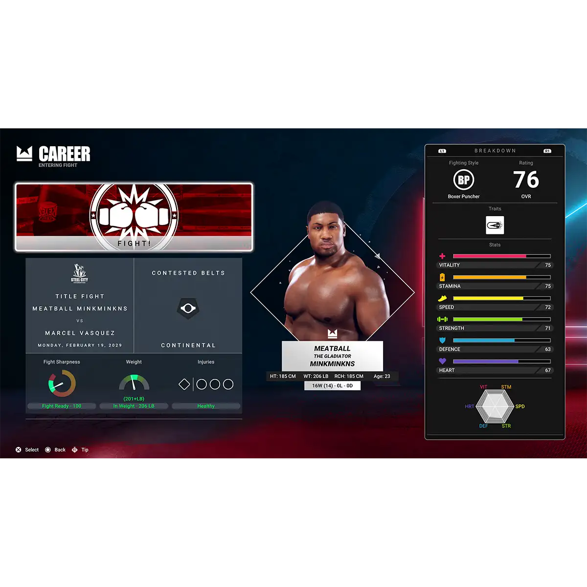 Undisputed Deluxe WBC Edition (PS5) Undisputed Deluxe WBC Edition (PS5)